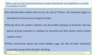 When and how did mammals become widely distributed and adapted to a variety
of ecological niches?
As Mammal-like reptiles died out by the end of Triassic, the mammals began to
abandoned territories and ecological niches.
Among them the modern relatives, the duck-billed platypus of Australia and two
species of spiny anteaters or echidans of Australia and New Guinea retain certain
reptilian traits.
These monotreme species lay small leathery eggs, but like all other mammals,
nurse their young with milk after hatching.
Mammalogy Department of Wildlife and Ecotourism by Jibril Kedir (Msc In Biodiversity Conservation and Climate Smart Agriculture
4/29/2023
 