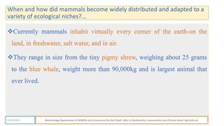 When and how did mammals become widely distributed and adapted to a
variety of ecological niches?...
Currently mammals inhabit virtually every corner of the earth-on the
land, in freshwater, salt water, and in air.
They range in size from the tiny pigmy shrew, weighing about 25 grams
to the blue whale, weight more than 90,000kg and is largest animal that
ever lived.
Mammalogy Department of Wildlife and Ecotourism by Jibril Kedir (Msc In Biodiversity Conservation and Climate Smart Agriculture)
4/29/2023
 