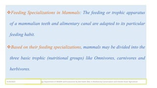 Feeding Specializations in Mammals: The feeding or trophic apparatus
of a mammalian teeth and alimentary canal are adapted to its particular
feeding habit.
Based on their feeding specializations, mammals may be divided into the
three basic trophic (nutritional groups) like Omnivores, carnivores and
herbivores.
Mammalogy Department of Wildlife and Ecotourism by Jibril Kedir (Msc In Biodiversity Conservation and Climate Smart Agriculture
4/29/2023
 