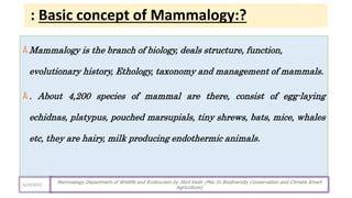 : Basic concept of Mammalogy:?
Ӑ Mammalogy is the branch of biology, deals structure, function,
evolutionary history, Ethology, taxonomy and management of mammals.
Ӑ . About 4,200 species of mammal are there, consist of egg-laying
echidnas, platypus, pouched marsupials, tiny shrews, bats, mice, whales
etc, they are hairy, milk producing endothermic animals.
4/29/2023
Mammalogy Department of Wildlife and Ecotourism by Jibril Kedir (Msc In Biodiversity Conservation and Climate Smart
Agriculture)
 