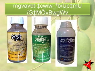 mgvavbt ‡cwiw_ªb/Uc‡mU
/G‡MÖvBwgWv
13
 