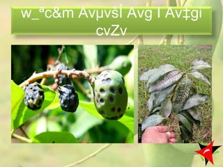w_ªc&m AvµvšÍ Avg I Av‡gi
cvZv
16
 