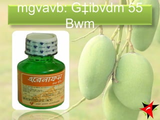 mgvavb: G‡ibvdm 55
Bwm
17
 