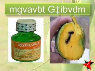 mgvavbt G‡ibvdm
26
 