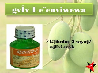 gvÎv I e¨enviwewa
G‡ibvdm 2 wg.wj/G‡ibvdm 2 wg.wj/
wjUvi cvwbwjUvi cvwb
27
 