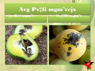 Avg Pv‡li mgm¨vejx
‡cvKvi mgm¨v  †iv‡Mi mgm¨v
3
 