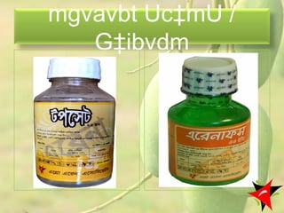 mgvavbt Uc‡mU /
G‡ibvdm
31
 