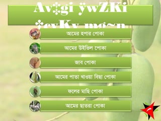 Av‡gi ÿwZKi
†cvKv mg~n
4
 