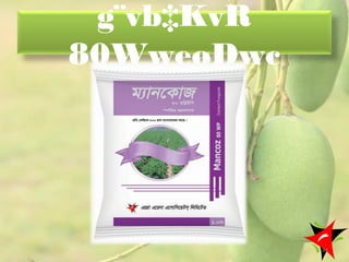 g¨vb‡KvR
80WweøDwc
44
 