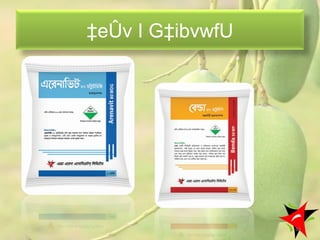 ‡eÛv I G‡ibvwfU
60
 