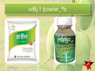 ivBj I ‡cwiw_ªb
61
 