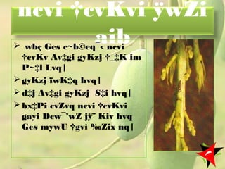 ncvi †cvKvi ÿwZi
aib wbç Ges c~b©eq¯‹ ncvi
†cvKv Av‡gi gyKzj †_‡K im
P~‡l Lvq|
 gyKzj ïwK‡q hvq|
 d‡j Av‡gi gyKzj S‡i hvq|
 bx‡Pi cvZvq ncvi †cvKvi
gayi Dcw¯’wZ jÿ¨ Kiv hvq
Ges mywU †gvì ‰Zix nq|
7
 