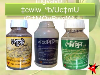 mgvavb:
‡cwiw_ªb/Uc‡mU
/G‡MÖvBwgWv
8
 