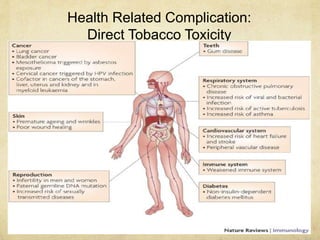 Health Related Complication:
Direct Tobacco Toxicity
 
