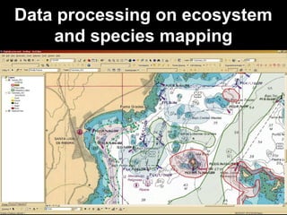 Data processing on ecosystem
and species mapping
 