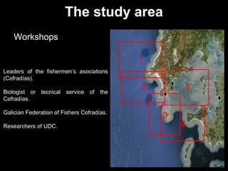 Leaders of the fishermen’s asociations
(Cofradías).
Biologist or tecnical service of the
Cofradías.
Galician Federation of Fishers Cofradías.
Researchers of UDC.
Workshops
The study area
 
