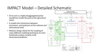 Value Chains and impact