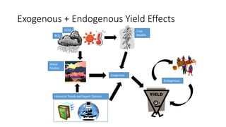 Value Chains and impact