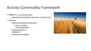 Value Chains and impact