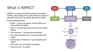 Value Chains and impact