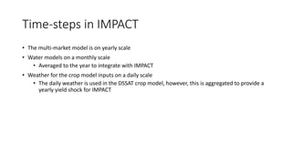 Value Chains and impact