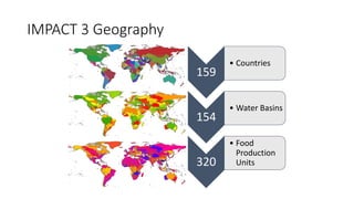 Value Chains and impact