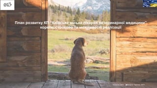 Лікарня на йорданській