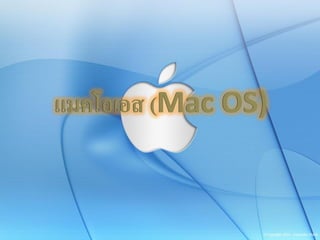 แมคโอเอส (Mac OS)แมคโอเอส (Mac OS)
 