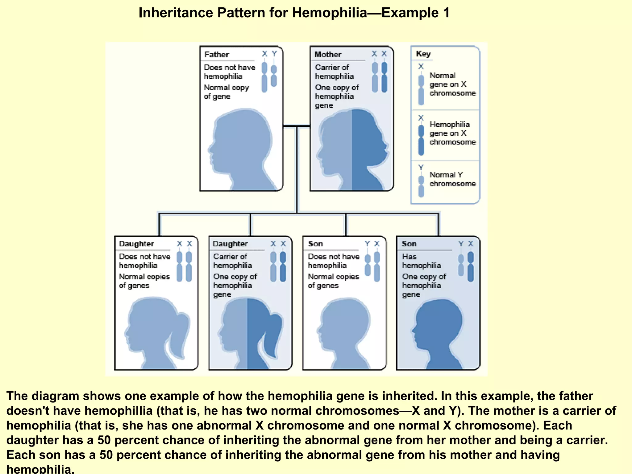 Inheritance Pattern for Hemophilia—Example 1  The diagram shows one example of how the hemophilia gene is inherited. In this example, the father doesn't have hemophillia (that is, he has two normal chromosomes—X and Y). The mother is a carrier of hemophilia (that is, she has one abnormal X chromosome and one normal X chromosome). Each daughter has a 50 percent chance of inheriting the abnormal gene from her mother and being a carrier. Each son has a 50 percent chance of inheriting the abnormal gene from his mother and having hemophilia.  