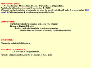 NEUTROPHILS (PMN):   Produced every 7-14 days, lasts 6 hours.  The function is phagocytosis.  Acute bacterial infection  ↑  neutrophil production     ↑   WBC.  With neutrophils stimulation, immature forms enter the blood, called BAND  cells   process called  Shift to Left   in WBC production   ongoing acute bacterial infection LYMPHOCYTES:   Fight chronic bacterial infection and acute viral infection  Divided in 2 types: T/B cells.  T cells: involved with cellular type immune reaction  B cells: involved in humoral immunity (antibody production ) MONOCYTES:   Phagocytic cells that fight bacteria BASOPHILS / EOSINOPHILS:   Are involved in allergic reaction.  Parasitic infestations stimulate the production of those cells 