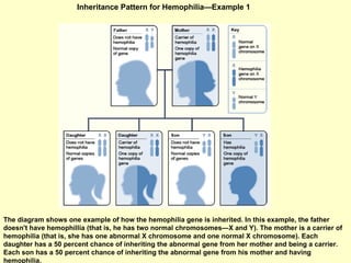 Inheritance Pattern for Hemophilia—Example 1  The diagram shows one example of how the hemophilia gene is inherited. In this example, the father doesn't have hemophillia (that is, he has two normal chromosomes—X and Y). The mother is a carrier of hemophilia (that is, she has one abnormal X chromosome and one normal X chromosome). Each daughter has a 50 percent chance of inheriting the abnormal gene from her mother and being a carrier. Each son has a 50 percent chance of inheriting the abnormal gene from his mother and having hemophilia.  