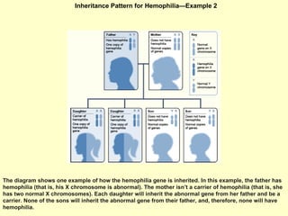 Inheritance Pattern for Hemophilia—Example 2  The diagram shows one example of how the hemophilia gene is inherited. In this example, the father has hemophilia (that is, his X chromosome is abnormal). The mother isn’t a carrier of hemophilia (that is, she has two normal X chromosomes). Each daughter will inherit the abnormal gene from her father and be a carrier. None of the sons will inherit the abnormal gene from their father, and, therefore, none will have hemophilia.  