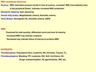 RBC intracellular structures: Nucleus:  RBC maturation process results in loss of nucleus, nucleated  RBC (normoblasts) seen  in the peripheral Smear, indicates increased RBC production Basophilic stippling:  lead  poisoning  Howell-Jolly bodies:  Megaloblastic anemia, Hemolitic anemia, Heinz Bodies:  Hemoglobin Ds, Hemolitic anemia, G6PD  WBC:   Examined for total quantity, differential count and level of maturity  Increased WBC may indicate Leukemia Decreased may indicate failure of marrow to produce WBC PLATELETS: Thrombocytosis:  Polycytemia Vera, Leukemia, RA, Chirrosis, Trauma, Tu. Thrombocytopenia:  Bleeding, ITP, Leukemia, DIC, SLE, Ca-Chemo, HA Drugs: acetoaminophen, H2 agents-Zantac, INH, etc..  