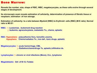 Bone Marrow:   Reveals the number, size, shape of RBC, WBC, megakaryocytes, as these cells evolve through several stages of development.  Its microscopic exam reveals estimation of cellularity, determination of presence of fibrotic tissue or neoplasm, estimation  of iron storage. Estimation of cellularity: Is a ratio between Myeloid (WBC) to Erythroid  cells (RBC) (M:E ratio). Normal ratio is M3:E1 WBC:   ↑:  Leukemias , leukemoid drug reaction ↓ :  leukemia, agranulocytosis, metastatic Tu,, chemo, aplastic  RBC:   Hyperplasia:   polycythemia Vera, hemolitic anemia,  Hypoplasia:   Chemo/radiation Tx., iron def., toxic drugs, aplastic  Megakaryocytes:   ↑ -  acute hemorrhage, CML  ↓ -  Radiation/chemo/drugs Tx, aplastic,infiltrative ds. Lymphocytes:   ↑ -  chronic or viral infections (Mono), CLL, lymphoma  Megaloblastic:   Def. of B-12, Folates 