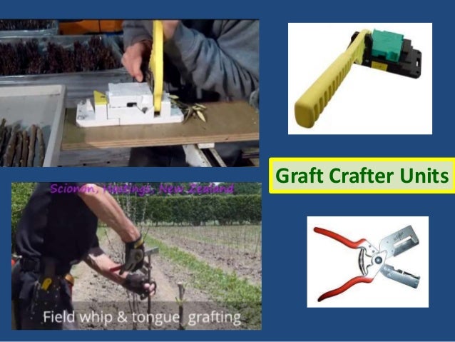 Presentation Mechanization Of Horticulture In India
