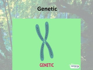 Genetic
 