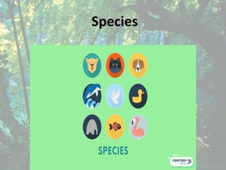 Species
 