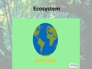 Ecosystem
 