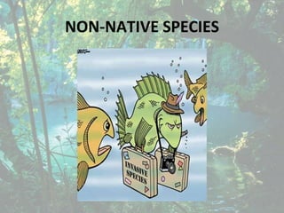 NON-NATIVE SPECIES
 