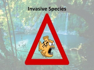 Invasive Species
 