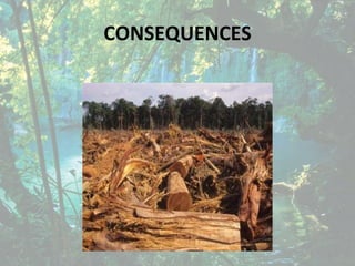 CONSEQUENCES
 