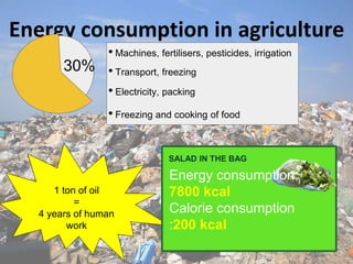 Energy consumption in agriculture
• Transport, freezing
• Machines, fertilisers, pesticides, irrigation
• Electricity, packing
• Freezing and cooking of food
1 ton of oil
=
4 years of human
work
SALAD IN THE BAG
Energy consumption:
7800 kcal
Calorie consumption
:200 kcal
30%
 