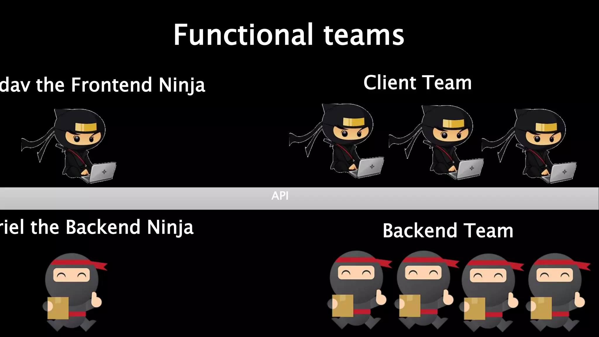 dav the Frontend Ninja Client Team
riel the Backend Ninja Backend Team
API
Functional teams
 