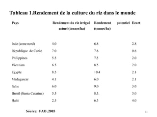 Tableau 1.Rendement de la culture du riz dans le monde
Pays Rendement du riz irrigué
actuel (tonnes/ha)
Rendement potentiel
(tonnes/ha)
Ecart
Inde (zone nord) 4.0 6.8 2.8
République de Corée 7.0 7.6 0.6
Philippines 5.5 7.5 2.0
Viet nam 6.5 8.5 2.0
Egypte 8.5 10.4 2.1
Madagascar 4.1 6.0 2.1
Italie 6.0 9.0 3.0
Brésil (Santa Catarina) 5.5 8.5. 3.0
Haïti 2.5 6.5 4.0
11Source: FAO ,2005
 