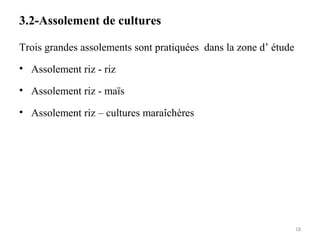 3.2-Assolement de cultures
Trois grandes assolements sont pratiquées dans la zone d’ étude
• Assolement riz - riz
• Assolement riz - maïs
• Assolement riz – cultures maraîchères
18
 