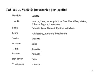 Tableau 3. Variétés inventoriée par localité
29
Variétés Localité
TCS-10 Lamour, Kalos, lekas, palmiste, Gros Chaudière, Makes,
Robuste, Segure , Laverdure
Shella Palmiste ,Luka, Guerrot, Pont benoit Makes
Leona Bois lestere,Laverdure, Pont benoit
Soirina Gracette
Malayika Kalos
Ti didi Gracette
Posecris Palmiste
Dan griyen Kalos
Ti haitienne Robuste
 