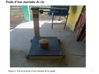 Poids d’une marmite de riz
31Figure 5. Vue de la pesée d’une marmite de riz paddy
 