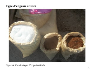 Type d’engrais utilisés
33
Figure 6. Vue des types d’engrais utilisés
 