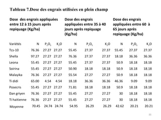 Tableau 7.Dose des engrais utilisées en plein champ
Dose des engrais appliquées
entre 12 à 15 jours après
repiquage (Kg/ha)
Dose des engrais
appliquées entre 35 à 40
jours après repiquage
(Kg/ha)
Dose des engrais
appliquées entre 60 à
65 jours après
repiquage (Kg/ha)
Variétés N P2O5 K2O N P2O5 K2O N P2O5 K2O
Tcs-10 76.36 27.27 27.27 55.45 27.37 27.37 55.45 27.37 27.37
Shella 97.27 27.27 27.27 76.36 27.37 27.37 18.18 36.36 36.36
Leona 55.45 27.27 27.27 55.45 27.37 27.37 50.9 18.18 18.18
Soirina 55.45 27.27 27.27 50.90 18.18 18.18 50.9 18.18 18.18
Malayika 76.36 27.27 27.27 55.54 27.27 27.27 50.9 18.18 18.18
Ti didi 65.00 4.54 4.54 18.18 36.36 36.36 46.36 9.09 9.09
Posecris 55.45 27.27 27.27 71.81 18.18 18.18 50.9 18.18 18.18
Dan griyen 76.36 27.27 27.27 55.45 27.27 27.27 30 18.18 18.18
Ti haitienne 76.36 27.27 27.27 55.45 27.27 27.27 30 18.18 18.18
Moyenne 70.45 24.74 24.74 54.95 26.29 26.29 42.62 20.21 20.21
35
 