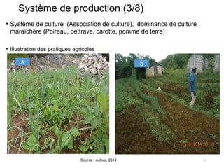 Système de production (3/8)
• Système de culture (Association de culture), dominance de culture
maraïchère (Poireau, bettr...
